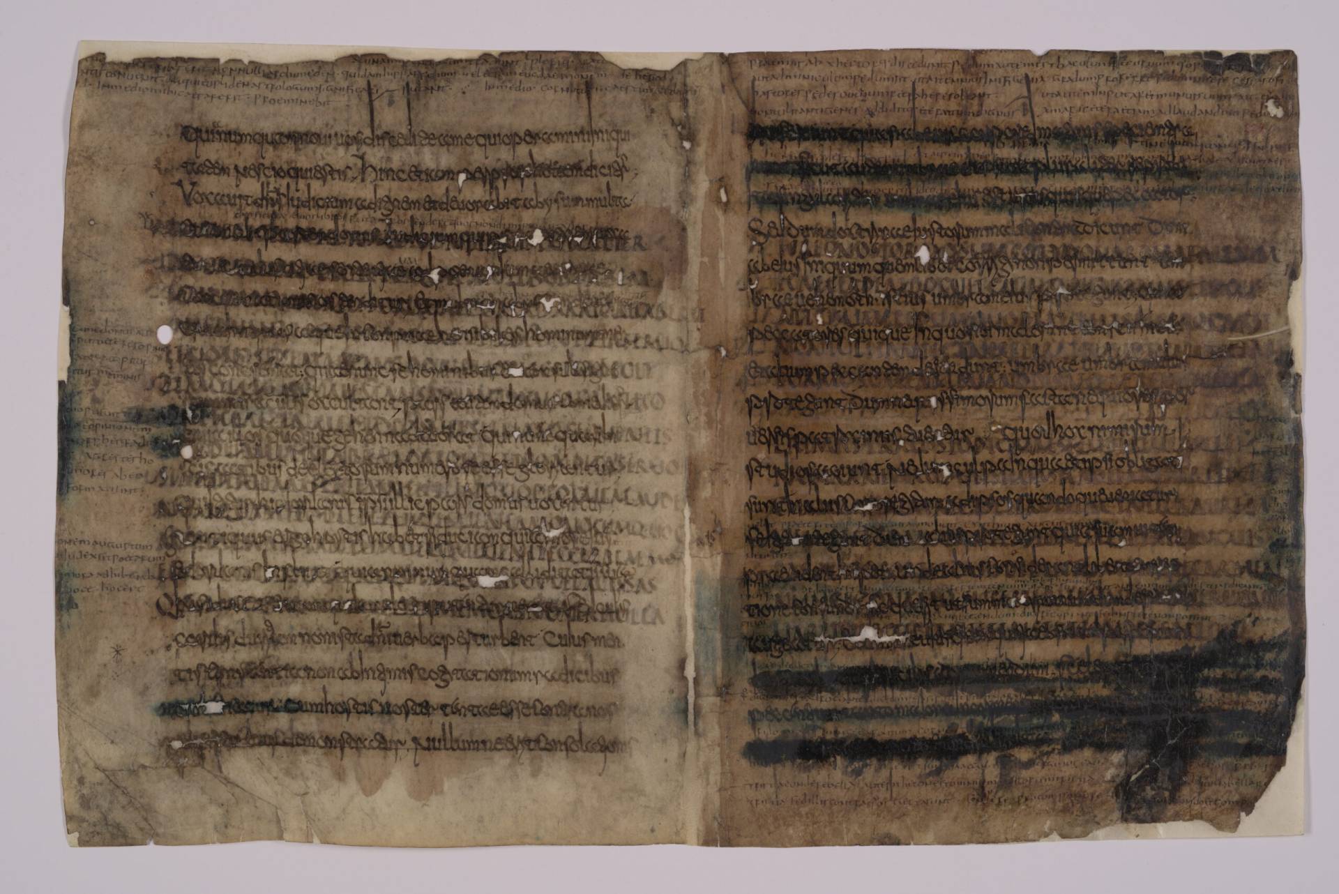 Verona, Biblioteca Capitolare, ms. XL (38), f. 219r